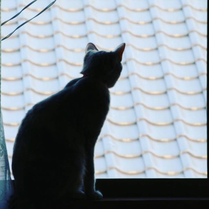 952d1f5d 8694 4ddf b743 5251c550e2b3 1525780728037