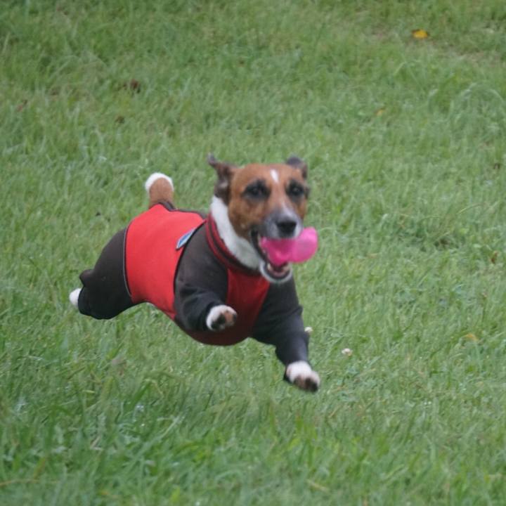 952d319f ac1f 4537 8085 626717ef60b4 1536967246000