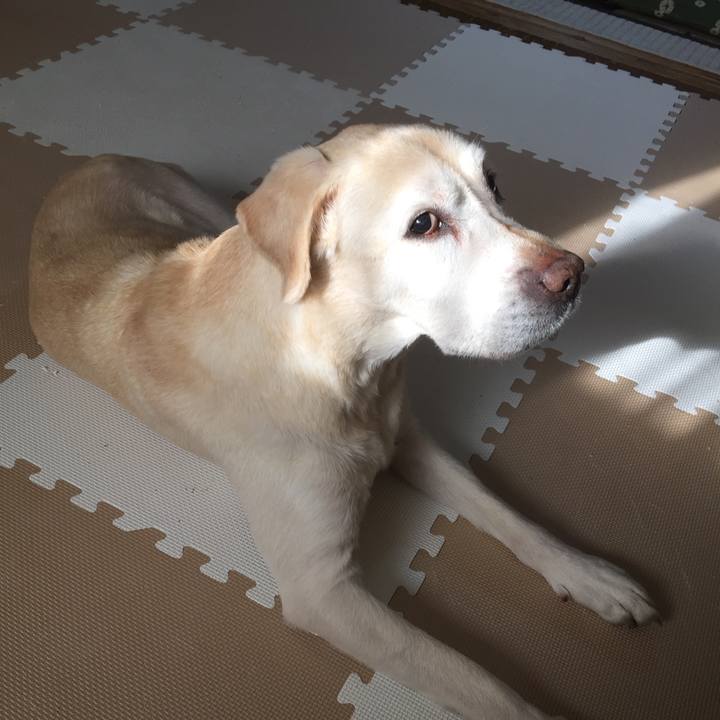 952d3f1f e0c1 4dc5 8184 95f0490b5b82 1520896859285