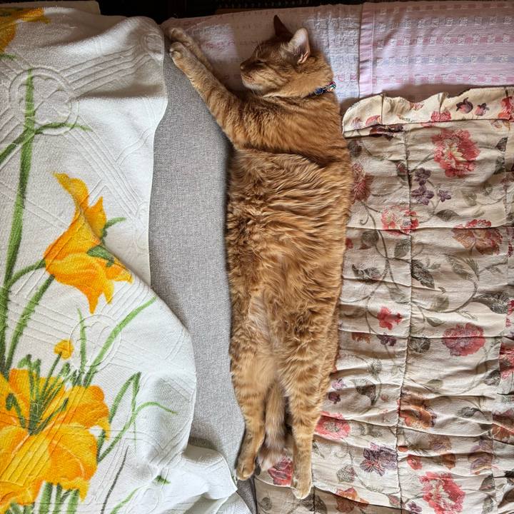 952deb00 61c8 4985 adc4 52eee90b5163 1763265824991