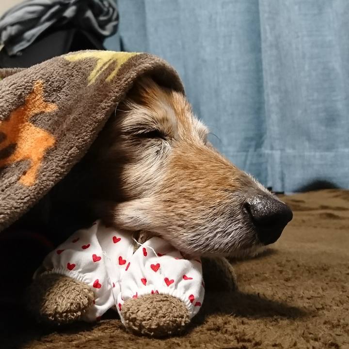 952dfcdb a17e 4f0c 8031 2771a8fb8769 1517438345815