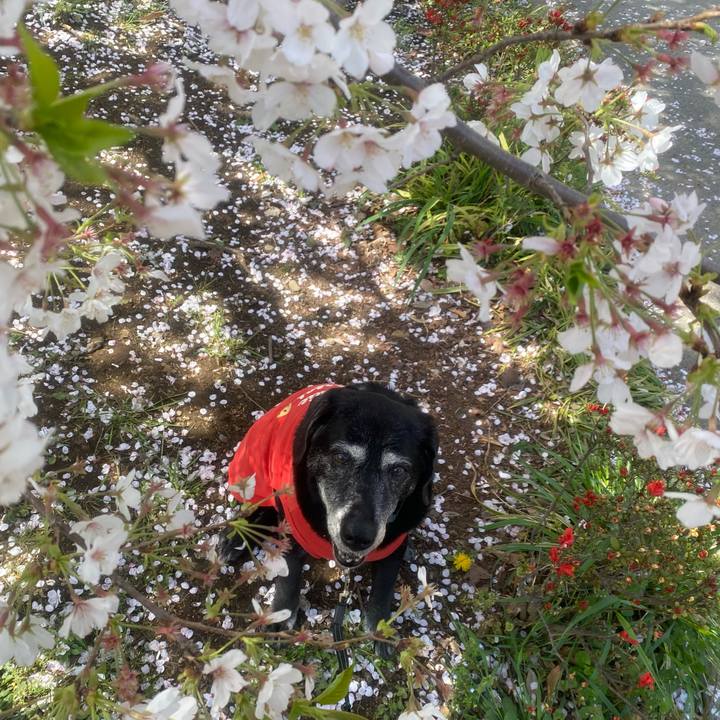 952e4ac3 2562 4787 8a5e 88929633ab04 1744016999612