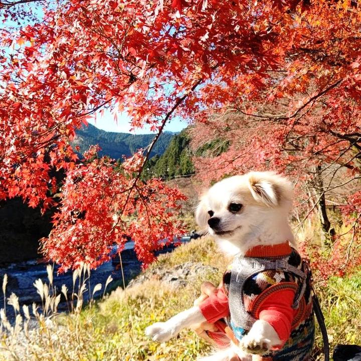 952e6787 b8ce 4438 8b62 a1df13367900 1699806028765