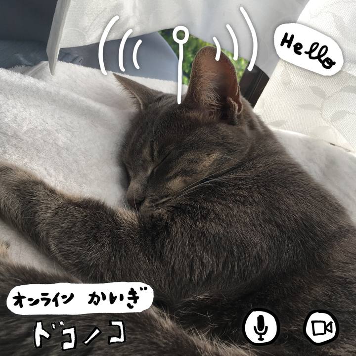 952e78af 393a 4fcf 837a 34d1e8d94cbe 1590737141636