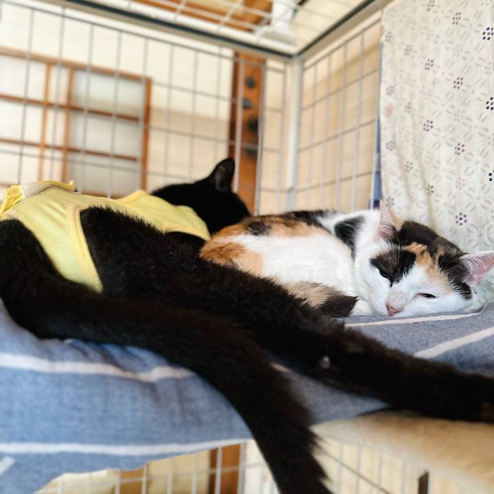 952e9945 4aa7 4295 8e1d a46d360e3f05 1719796683611