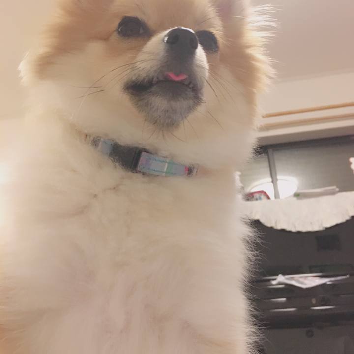 952ebc6b 46a0 4c34 a585 c5266cde8e81 1511783904662