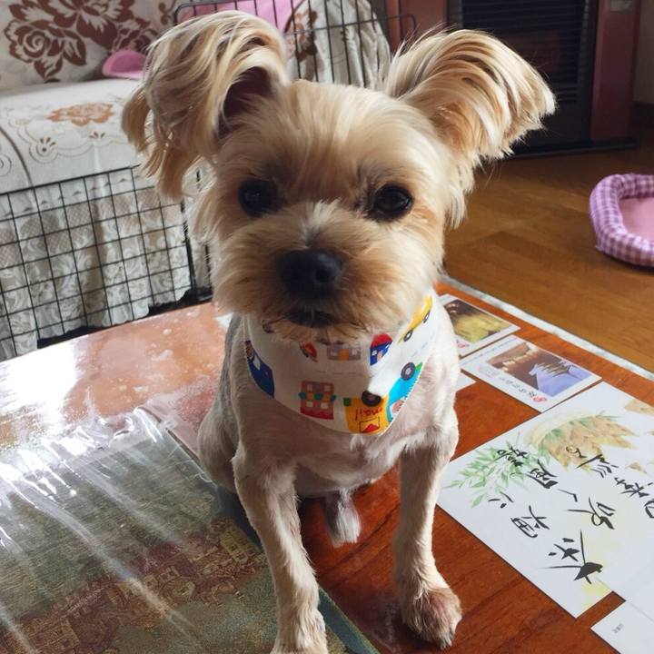 952ed611 abe9 4c1e a4b3 4274d8eb9fc6 1530180044668