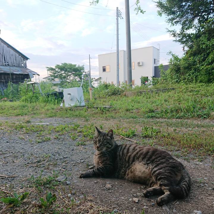 952ee6d6 8ae1 4bdf a2d5 dd9b0daa6b06 1656969117519