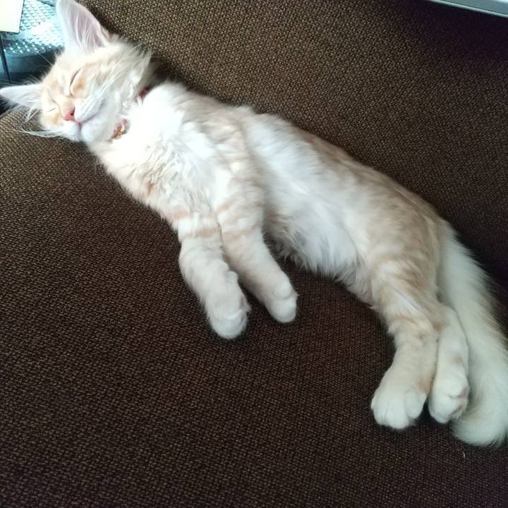 952ef7d5 9550 413a a5da 55ca2d69c8b0 1606037463065