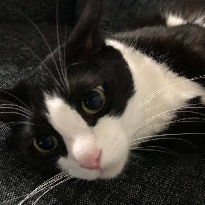 952ef8c4 ca65 4650 89eb ffed1b90626a 1549537918925