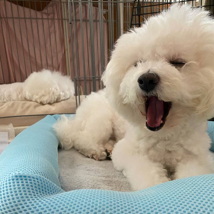 952f1df3 661f 4dad bf3e a9d5b73ac58f 1658880582421