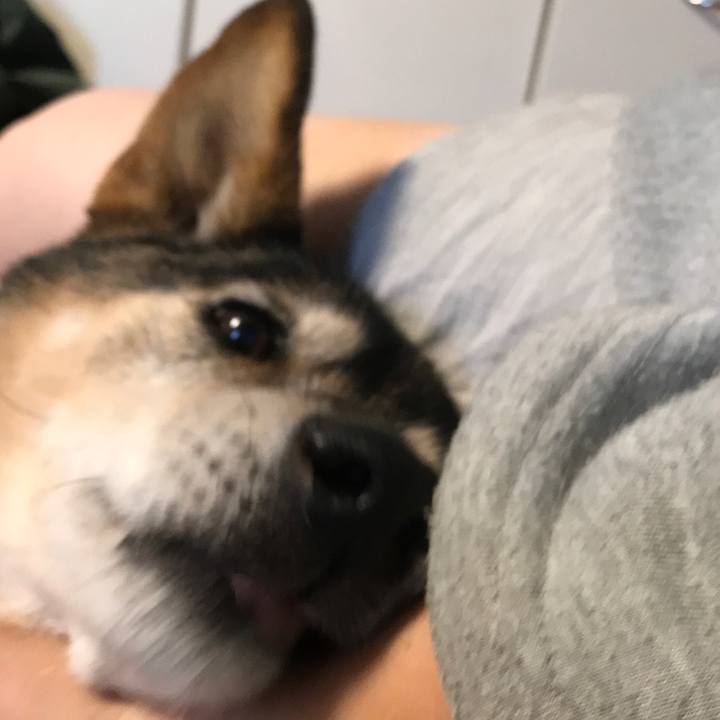 952f3f10 a65a 4cb8 8a27 d58718c4fe6d 1541238149968