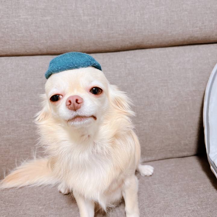 952f8ea8 28d9 4753 b4eb f5036665e673 1667799541601