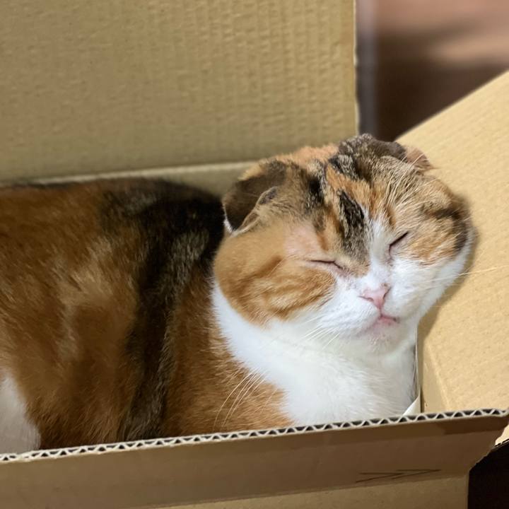 952fdb09 34f2 4fe2 90ef 9dcb37c6d4e0 1638108765872