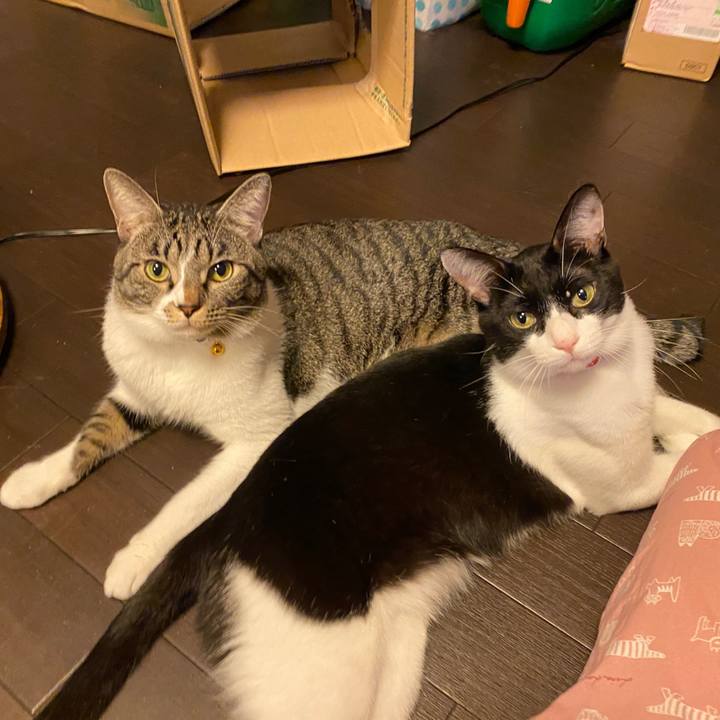 952fde15 0e23 4c43 a01a e5299700031c 1697210022777