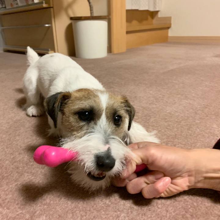 95300930 4e8c 4b79 b5de cc39b8653850 1578226514119