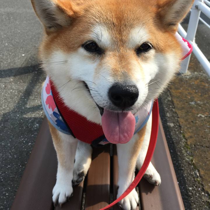 953026d5 cec6 49b9 bb73 7e35792e754a 1596938015323