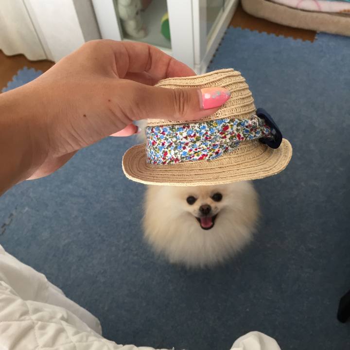 953045ac 8b81 4f26 b870 9c54c16f64d6 1531294527574