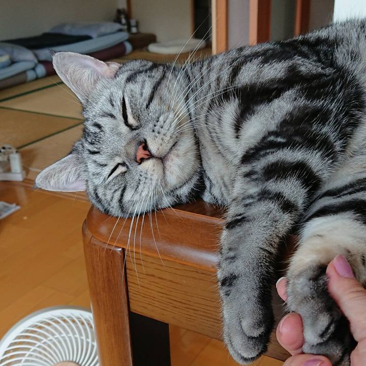 95304b44 ad74 4d54 800c 86761b6b5e0e 1534907314018