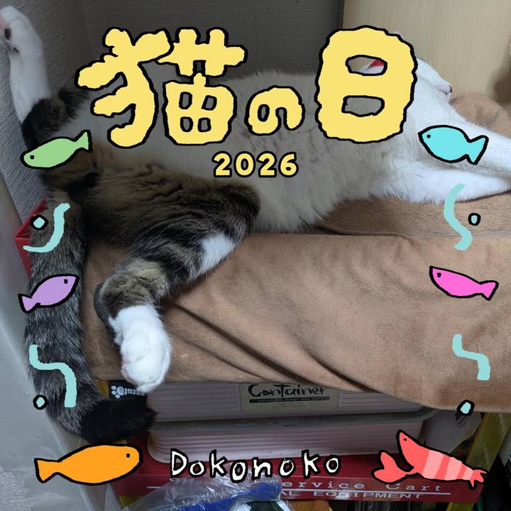 95306fd5 632e 4b27 83f1 f820f506c1db 1771787903192