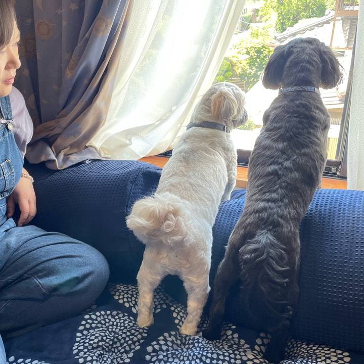 953078dd 4143 4529 a415 ec1672b99a25 1697175581183