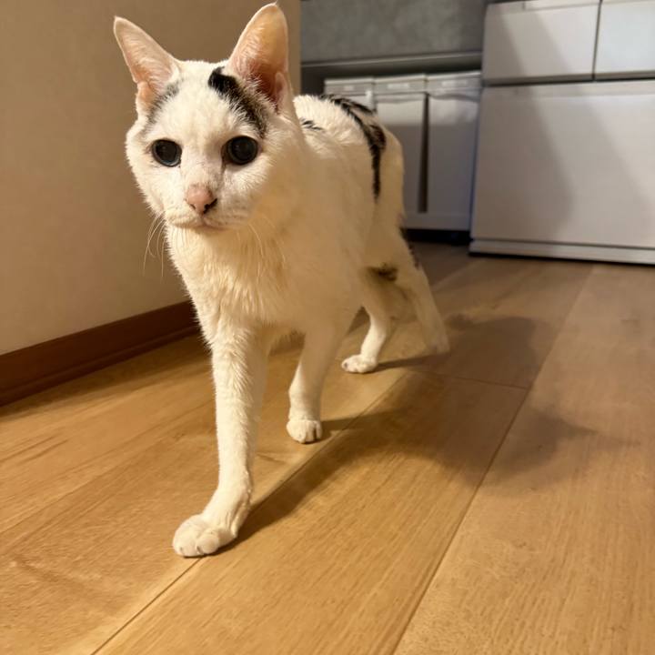 95307c3b 9503 4f7b b52c 649a26e55be8 1770856982855