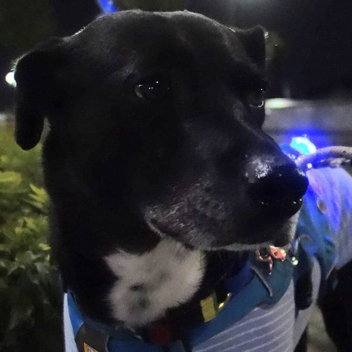 9530e34d 086a 4385 bca5 b5c2b0710211 1671101007932