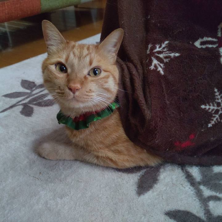 9530f5f0 8f00 4f83 a801 fbe44c1ee552 1641439713991