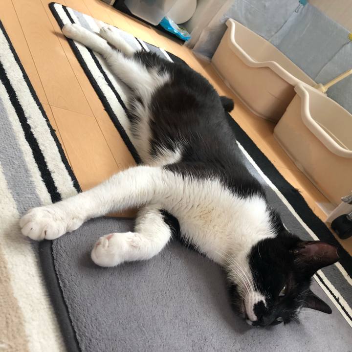 9530fc1a e34f 4e23 857e 1092d124644b 1590300034281