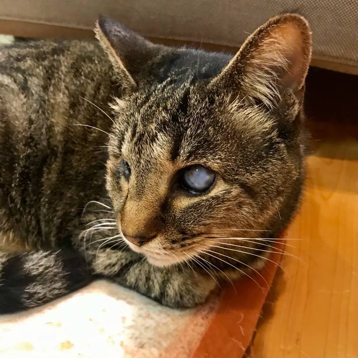 953121c6 0bc4 4756 872a a341026fe222 1619844596844