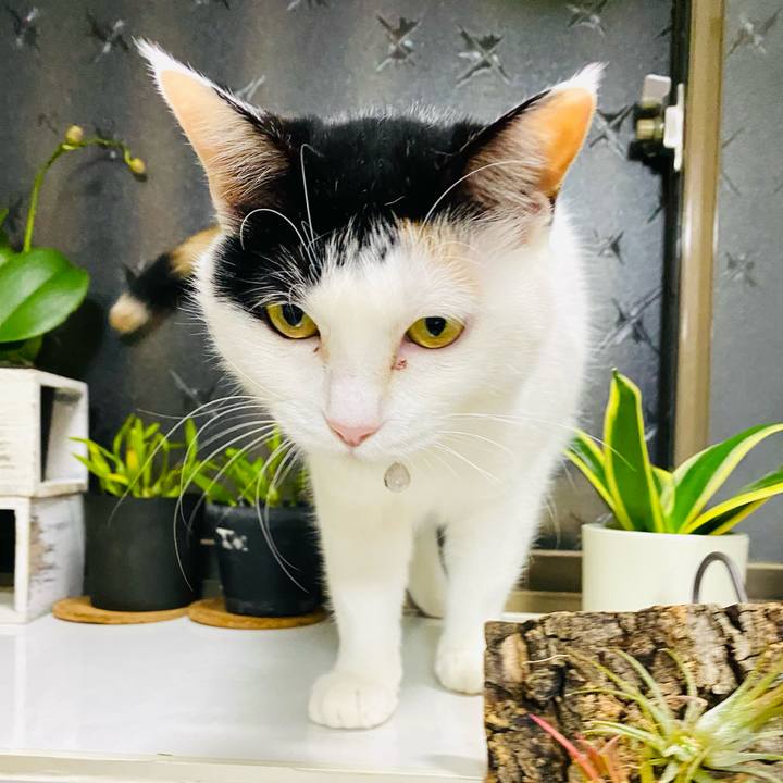 95314814 a812 43a9 8128 a36ccc0da207 1680181202753