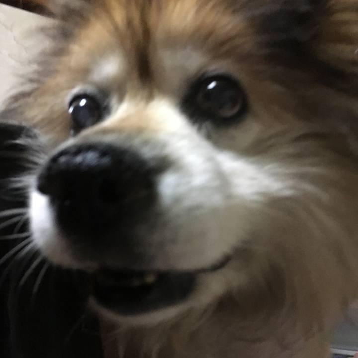 9531557f f22f 4629 9bf5 2d99952f57c6 1587838719281