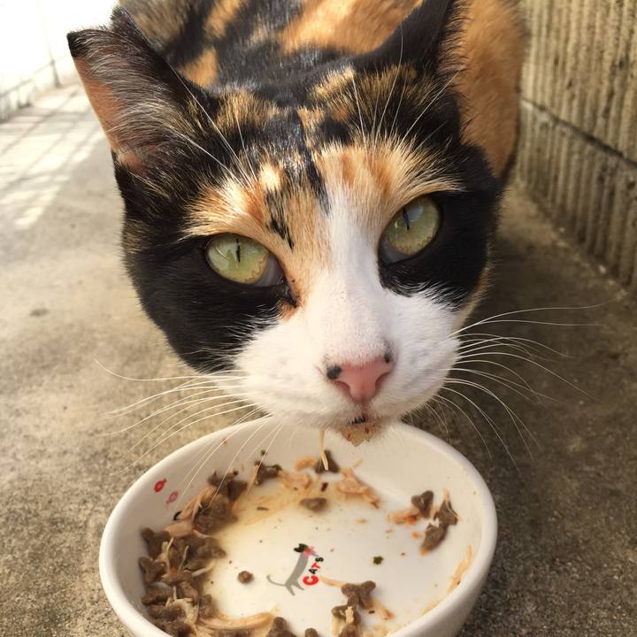 953159e3 37ca 4786 8b80 d8be5d2dca15 1511069933859