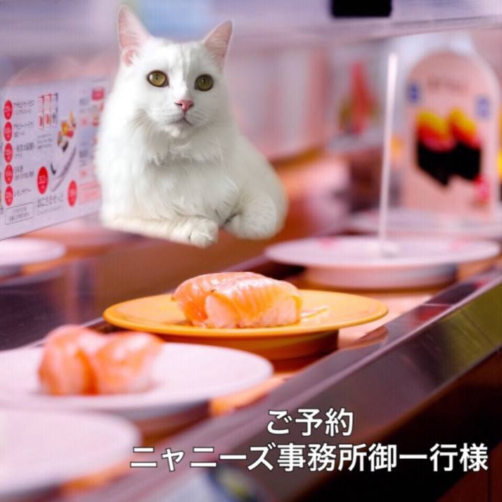 9531849d de55 4d9f 8a7f 0687916a539d 1535029173080