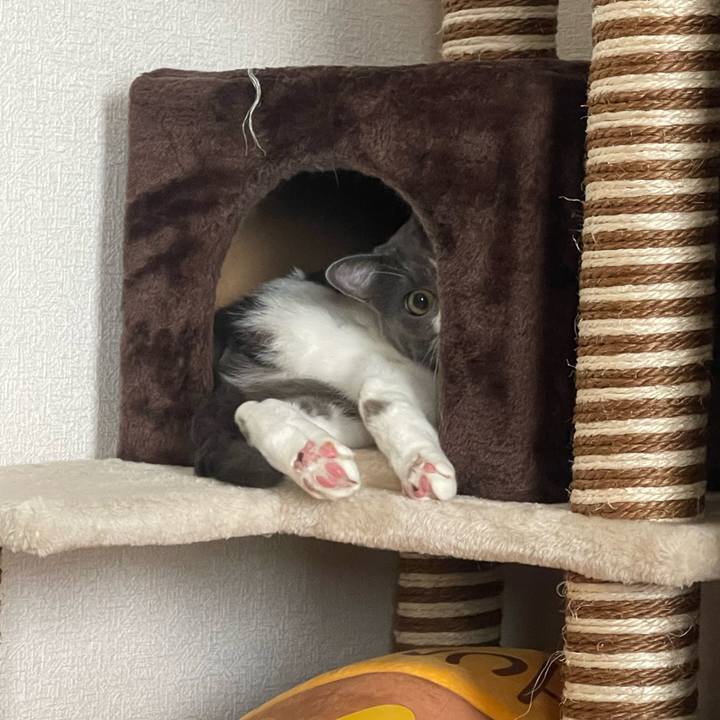 95318c2c 73eb 4475 bd74 aefbf5c0997c 1689917989070