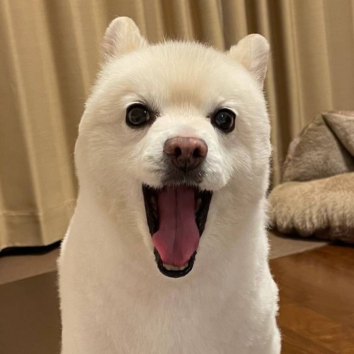 95318c6b 4f83 4d07 9c09 eb75ab0137f4 1760356729272