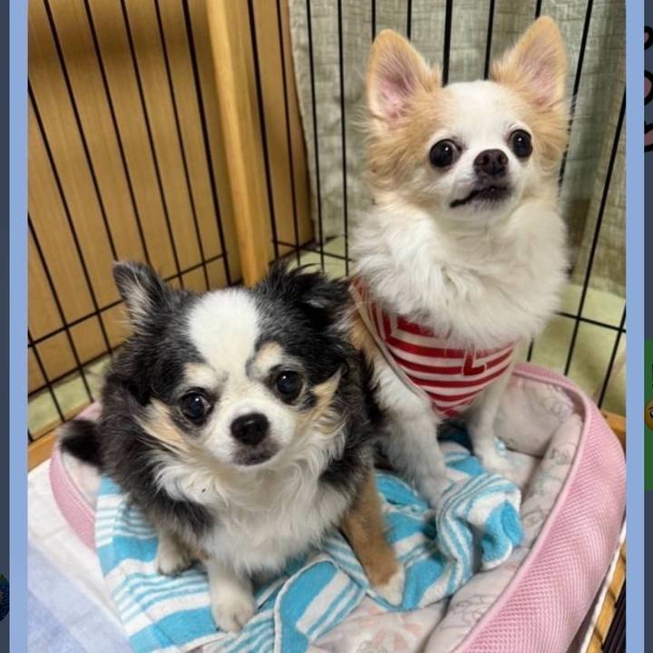 9531e250 a3cd 4787 8cbf cfd8a96e02d8 1754375081502