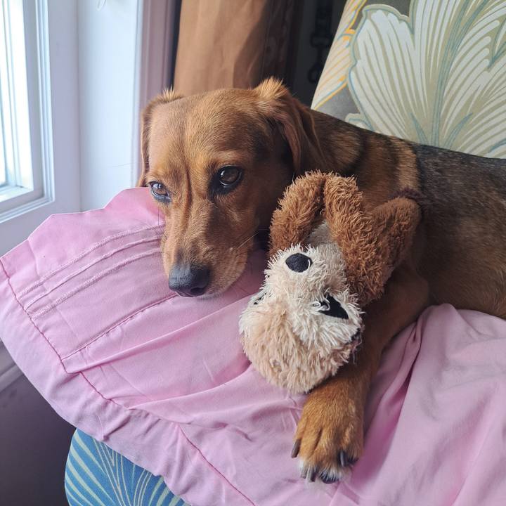 9532256c 19c0 4c47 905e 0026c029dac0 1769956730996