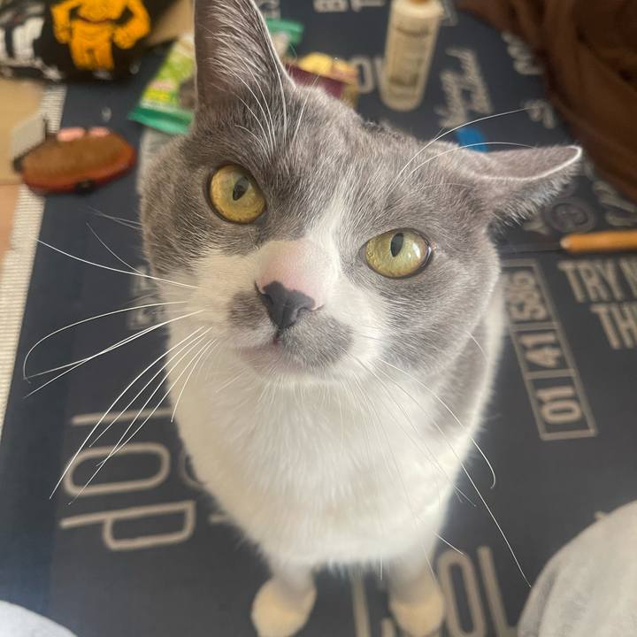 9532389a 6db0 4cf1 8e0f 1d5321012eda 1710040397710