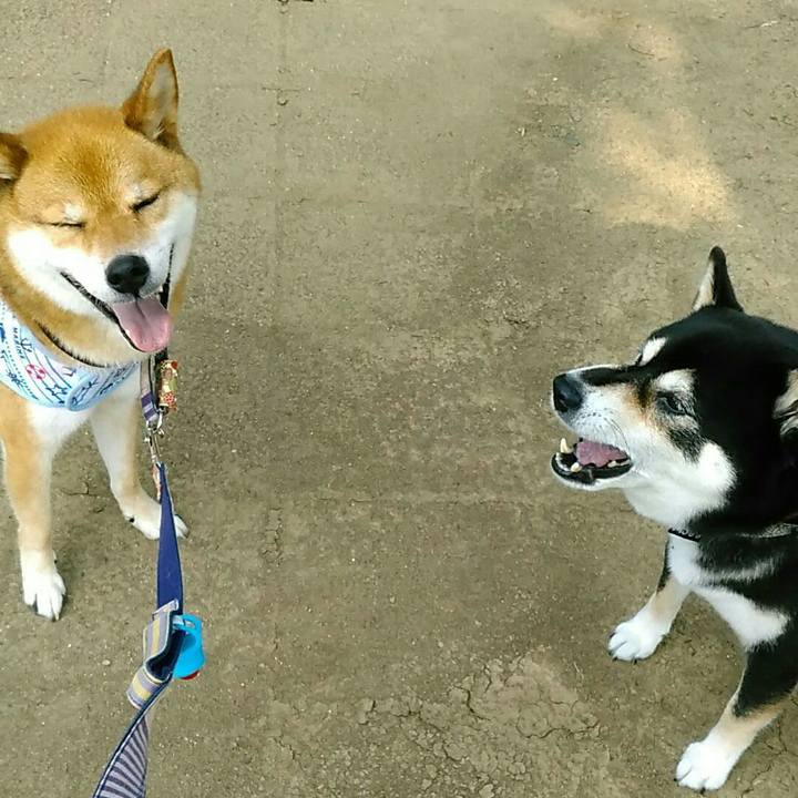 95324db7 825f 45bb 8176 a68db3931246 1564555103503