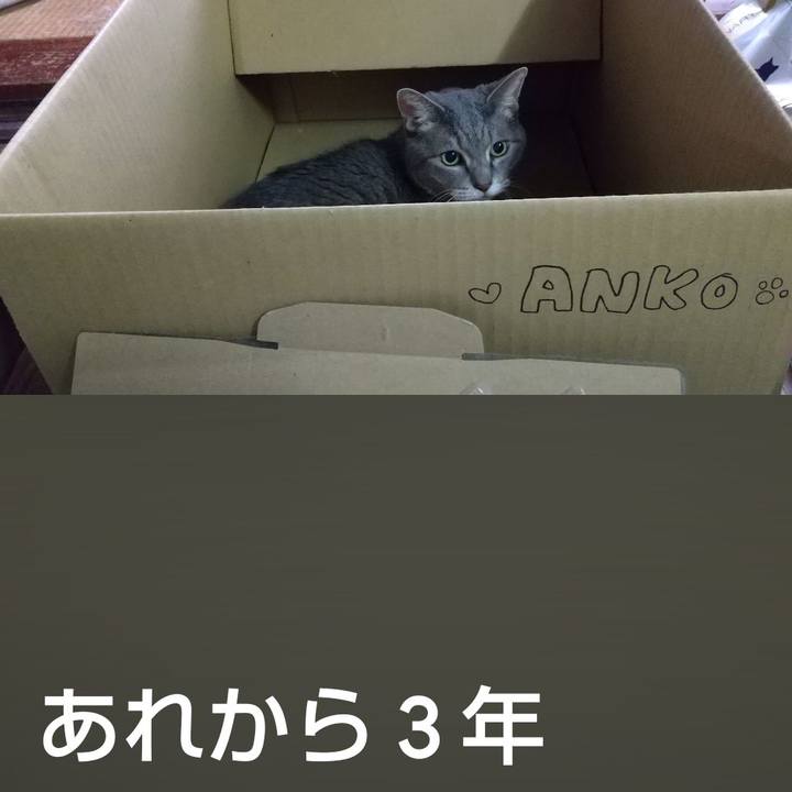 95325a3a df0a 4b1c 8d26 0d3ca3a1e580 1694051190218