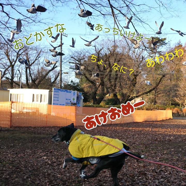 95327f20 5f44 4472 ae8c ccfb684628fa 1767230506777