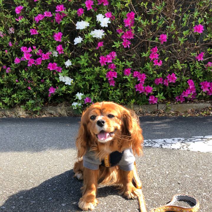 9532860f cf23 4993 ac8d fa4bf25a13d0 1650234864738