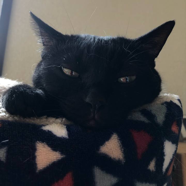 953288b4 8e90 41b3 a90d 355f12edcc5b 1629118202121