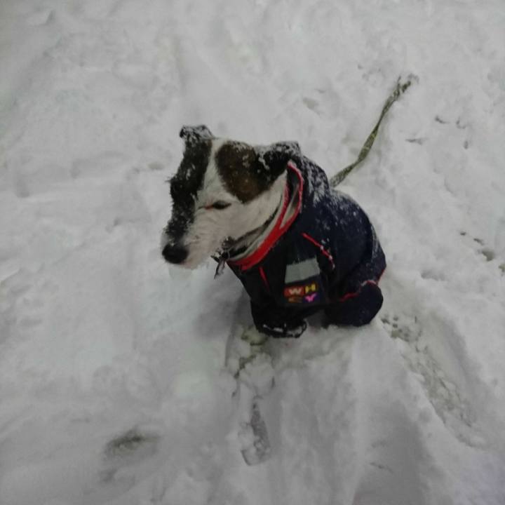 9532a426 dd6a 49c2 a2e3 f76b0a983844 1516614705711