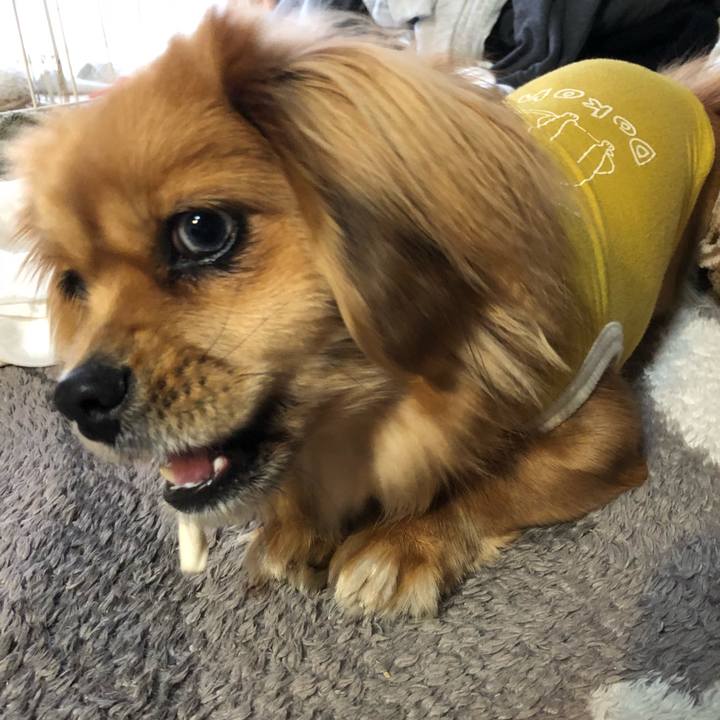 9532ea07 bbcb 4da9 ab4d 115805d54365 1518558596535