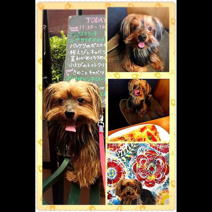 9532ea35 35c0 4b3f be69 3204bd54dbd5 1536639529275