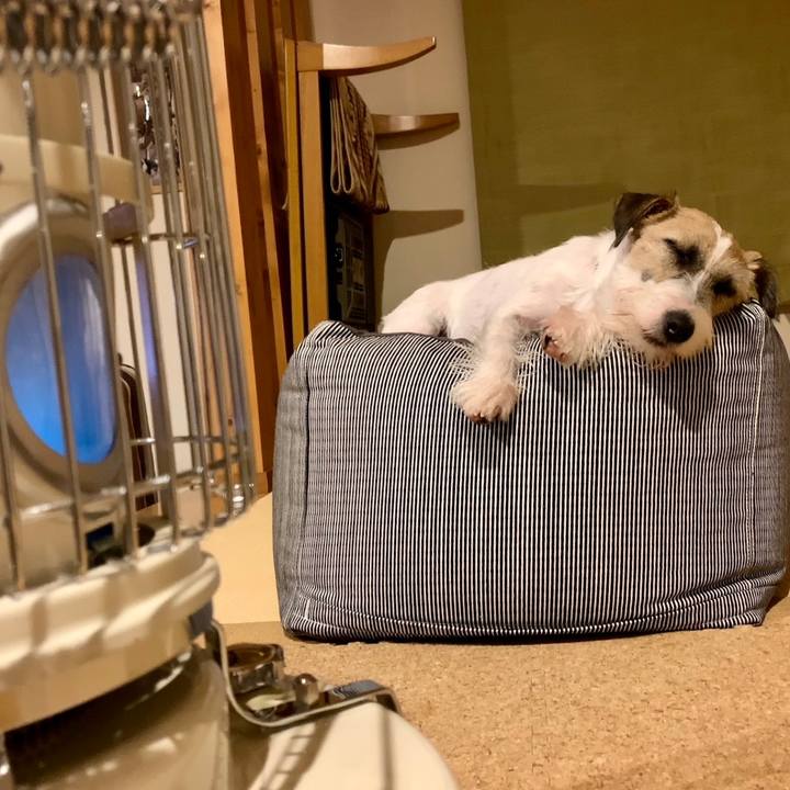 953319da 0a72 4a5b 9dda d7293a33dcb4 1604928753060