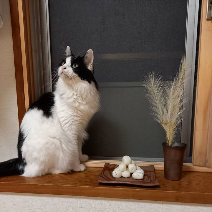 95334680 07ac 40cc b289 57438e6fe647 1601545246051