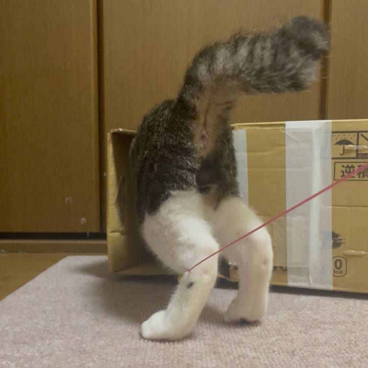 9533788b 5e44 466e 9ef8 1b4ca761dbe8 1726138126572